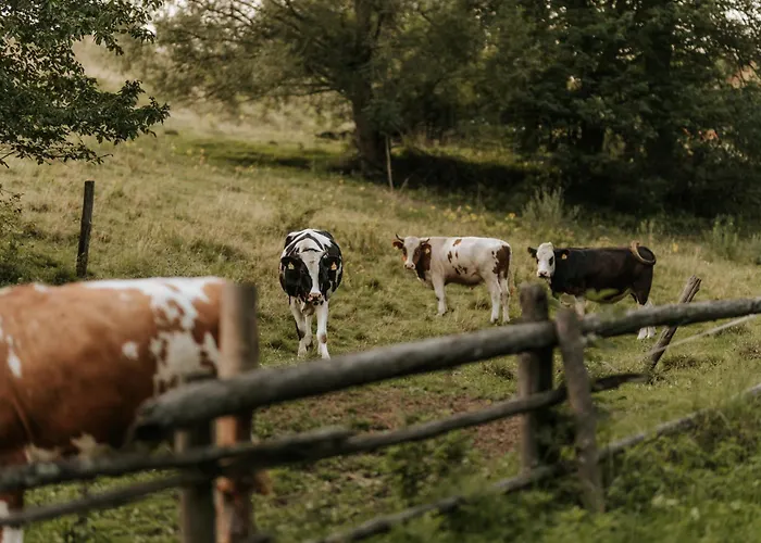 Chalet Bohema Sierpnica